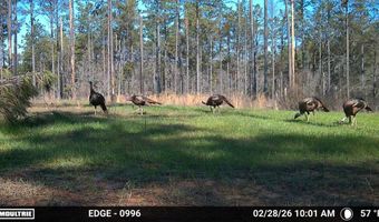Hwy 9, Bruce, MS 38915