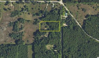 McPherson Road lot 11 & 12, Alden, MI 49612