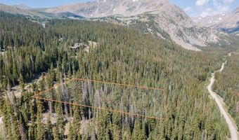 585 COUNTY ROAD 805, Breckenridge, CO 80424