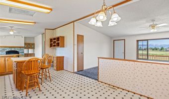 1825 Rottweiler, Belgrade, MT 59714