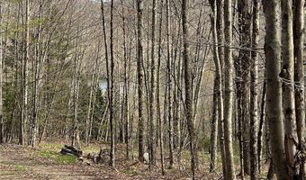 State Highway 30, Andes, NY 13731