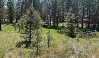 93 E Prospectors, Cascade, ID 83611