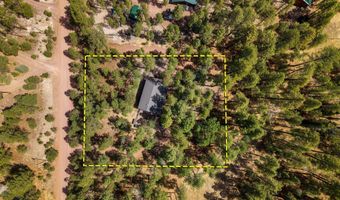 8 County Road 2083, Alpine, AZ 85920