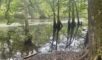 1373 Bridge St, Branchville, SC 29432