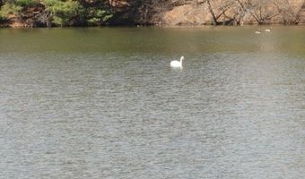 Lot 16 Fly Rod Trail, Wisconsin Rapids, WI 54494