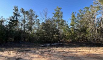 Deshutes Drive, Alford, FL 32420