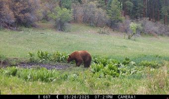 15098 CR 240, Bayfield, CO 81122