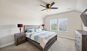 1014 Mj Brown St, Allen, TX 75002