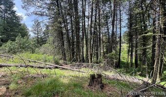 Tbd Hilltop Rd, Cascade, ID 83611