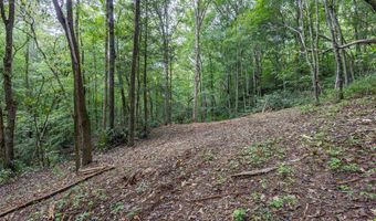 1034 Chestnut Flats Rd, Andrews, NC 28901