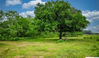 La Vernia Road, Adkins, TX 78101