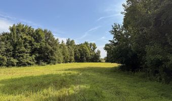 Poplar Springs Road, Atwood, TN 38220