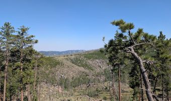 Old Camp Rd, Bellvue, CO 80512