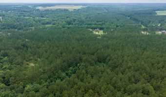 28786 Harbor Rd, Andalusia, AL 36421