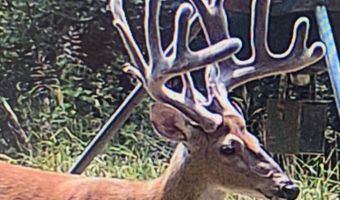 0000 Francis Rd, Francis, OK 74820