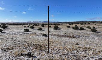 102 County Road 5105, Concho, AZ 85924