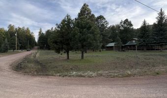 18 County Rd 2063, Alpine, AZ 85920