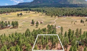 24 County Rd 2079, Alpine, AZ 85920