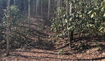 1834 Bristol Ave, Andrews, NC 28901