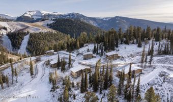 1030 CAMBER Ln, Alta, WY 83414