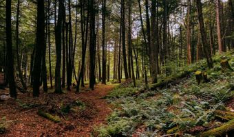 0 Weidick Rd, Andes, NY 13731
