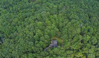 241 Wild Turkey Rdg, Ball Ground, GA 30107