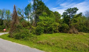 80 ACRE Monnie St, Ashburn, GA 31714