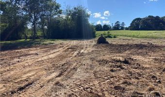 Tract 2 Hwy 51S, Homer, GA 30547