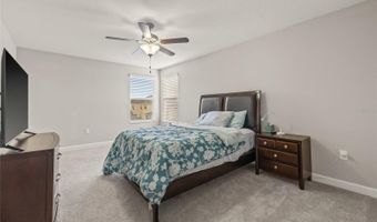 3212 CALVANO Dr, Land O Lakes, FL 34639