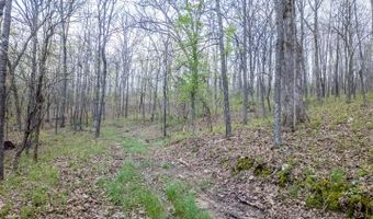 192 Mo 19, Alton, MO 65606