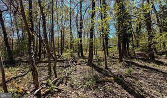 11821 ELLINGTON Dr, Beltsville, MD 20705