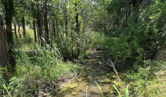 Tbd Lot 42 Blk 2 Timber Valley Lane, Weatherford, TX 76085