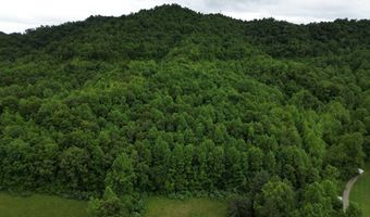 9999 King Fork Rd, Barbourville, KY 40906
