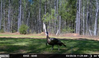 Highway 28, Abbeville, SC 29620