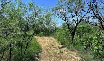TBD East Tract County Road 356, Anson, TX 79501