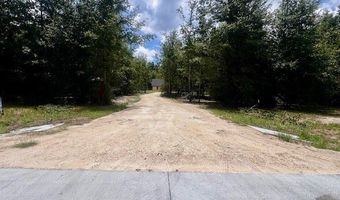 4899 36th St, Bell, FL 32619