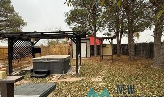 3307 S Tidwell Rd, Carlsbad, NM 88220