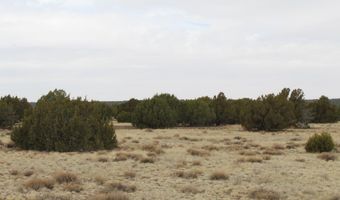 21 County Rd, Concho, AZ 85924