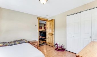 29 S Oak St, Alma, CO 80420