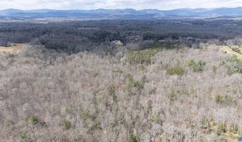 ELLY RD lot 50 81, Aroda, VA 22709