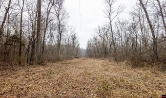 CR 19-A, Alton, MO 65606