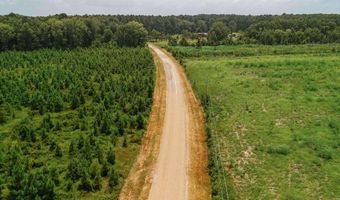 Copeland Ridge Road, Arkadelphia, AR 71923