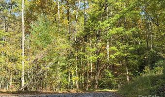 345 Christa Ln, Arden, NC 28704