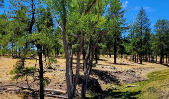 Tbd STONE CREEK RD CR 2117, Alpine, AZ 85920