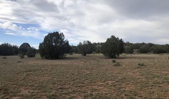 302-17 306 Haywire Rd, Ash Fork, AZ 86320