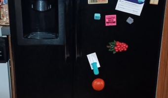 21 EDGEWOOD Ct 21, Felton, DE 19943