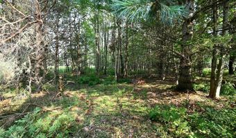 9537 LAKEVIEW Rd, Alanson, MI 49706