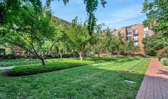 520 JOHN CARLYLE St 320, Alexandria, VA 22314