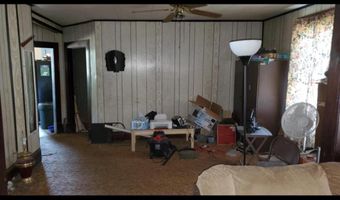 322 Lawrence, Adrian, MI 49221