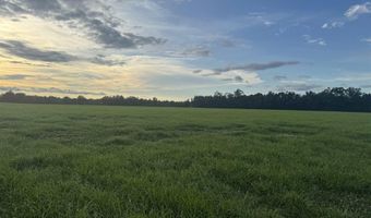 003 Huxford Rd, Atmore, AL 36502